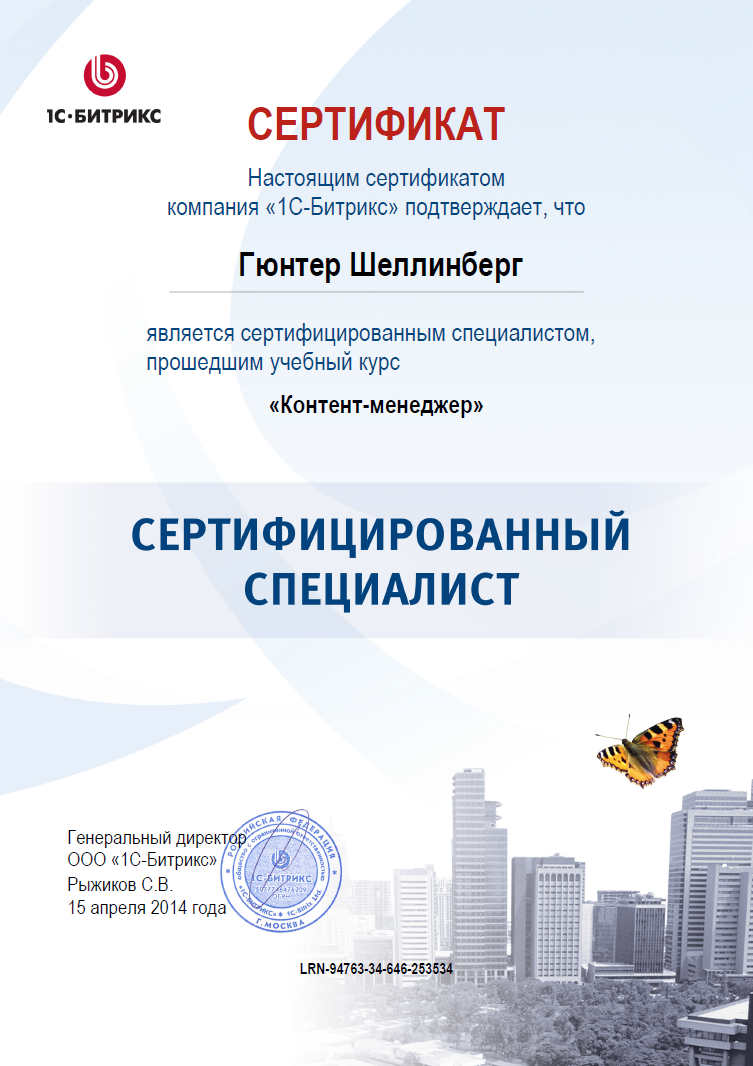 Сертификат Web мастер