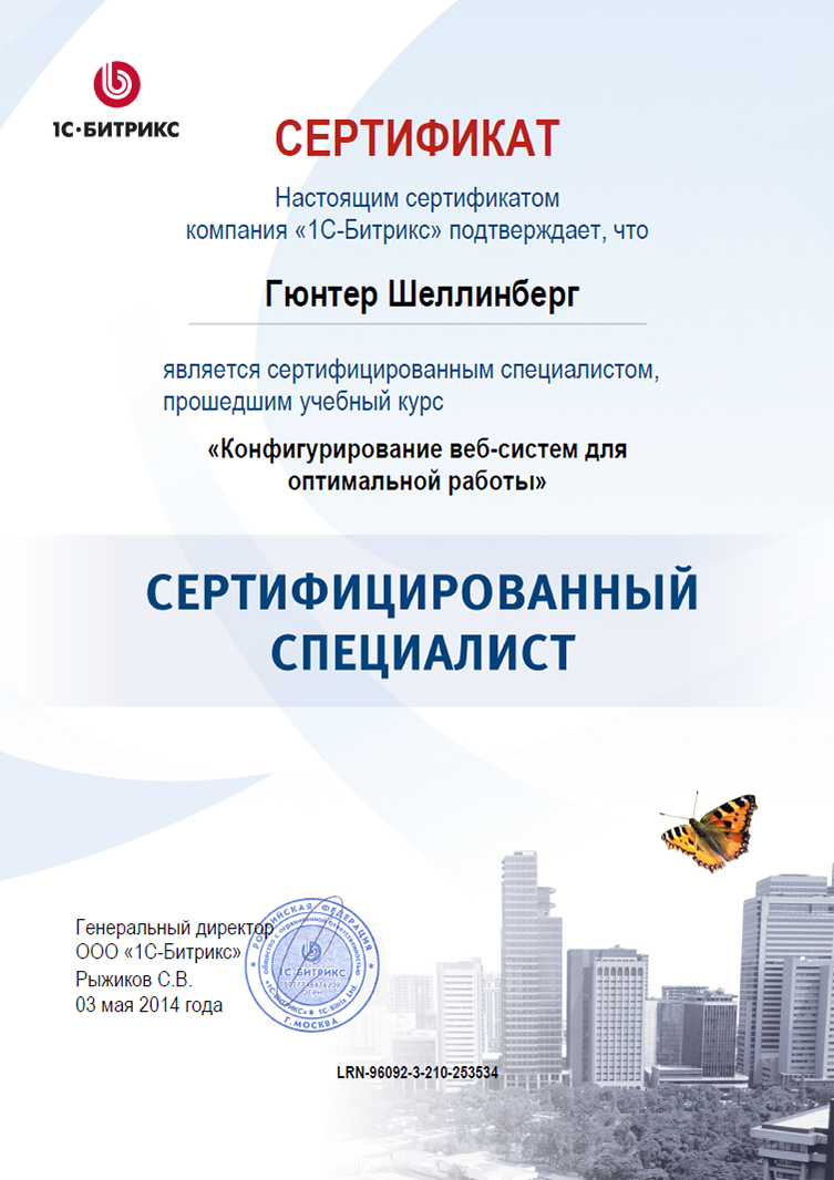 Сертификат Web мастер